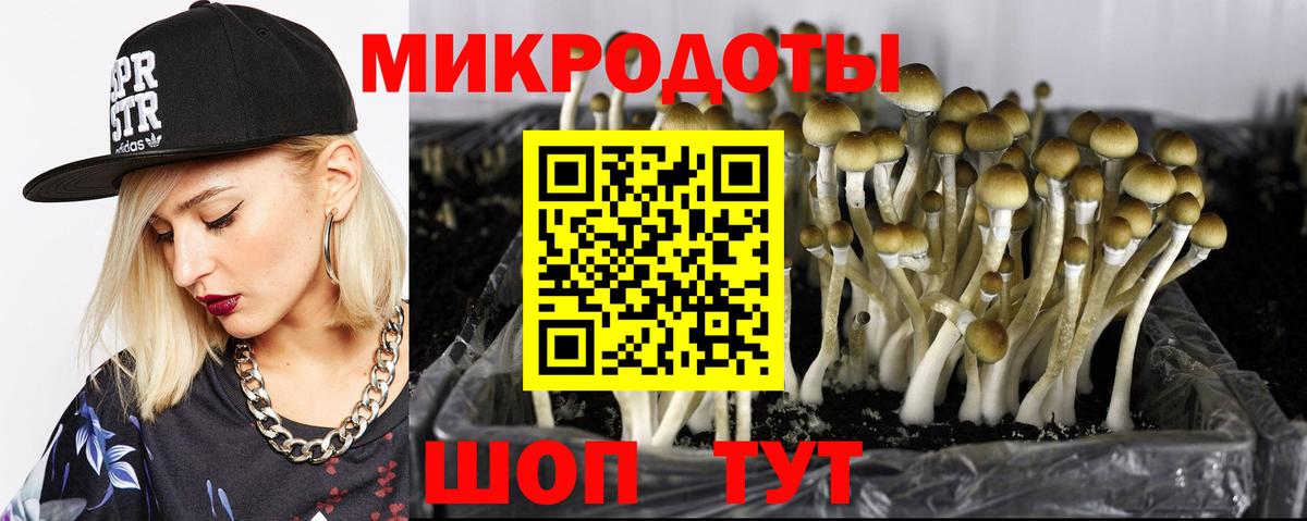 Корсаков  Галлюциногенные грибы прущие грибы  Вход с VPN 