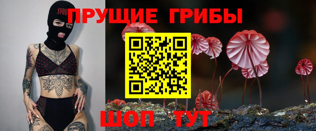 Галлюциногенные грибы Magic Shrooms Корсаков